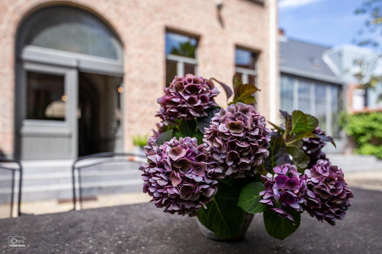 B&B La Corderie Hamme Exterior photo